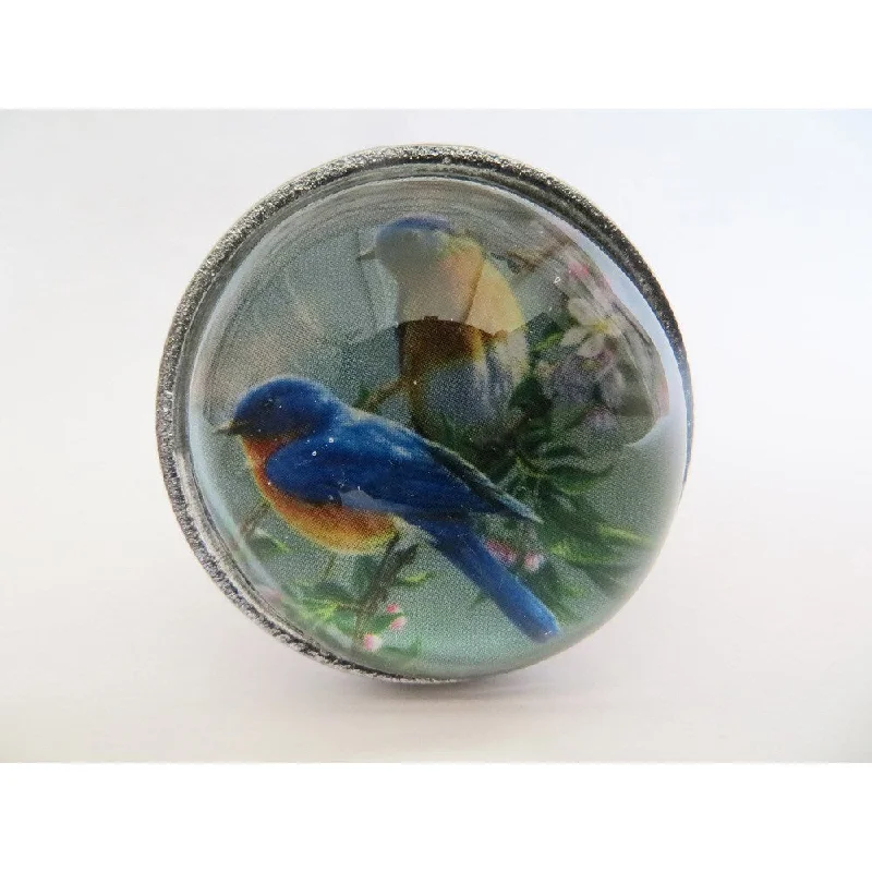 Glass Dome Birds Drawer/ Door/ Cabinet Knob (Pack of 6)